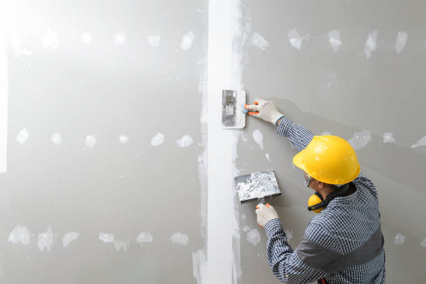 Reliable Chatsworth, IL Drywall & Painting Services Solutions